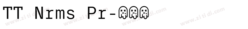 TT Nrms Pr字体转换